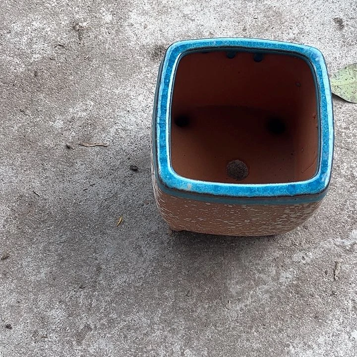紫砂花盆紫1…………
