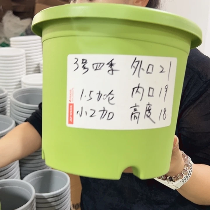 特价3号四季口21高18果绿无托10只