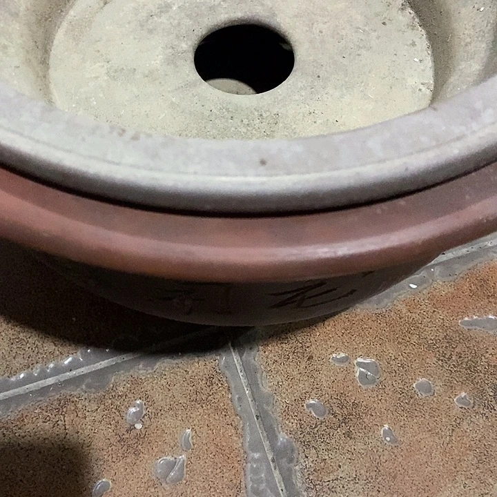 舍***得瓷片zvffggfdffdffffdffffsf