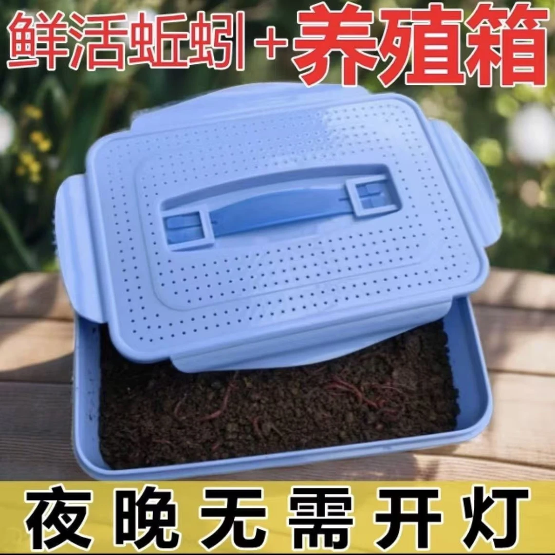 牛粪喂养红蚯蚓养殖箱钓鱼垂钓鱼饵鱼食腥味鲜活蚯蚓暂养箱包活