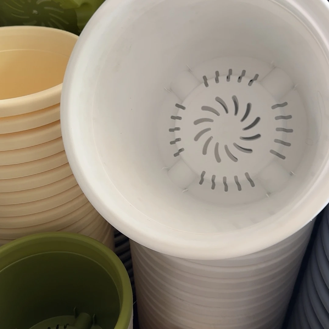 树脂四季5号无托10个白色微瑕