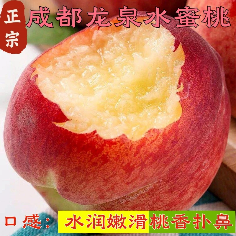 成都龙泉山水蜜桃子毛桃当季新鲜水果现摘现发可撕皮第三款京41号