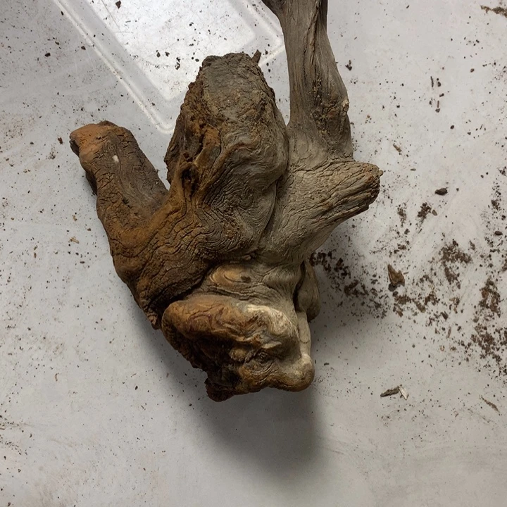 宴***贸无花朵今天在学校楼下吃