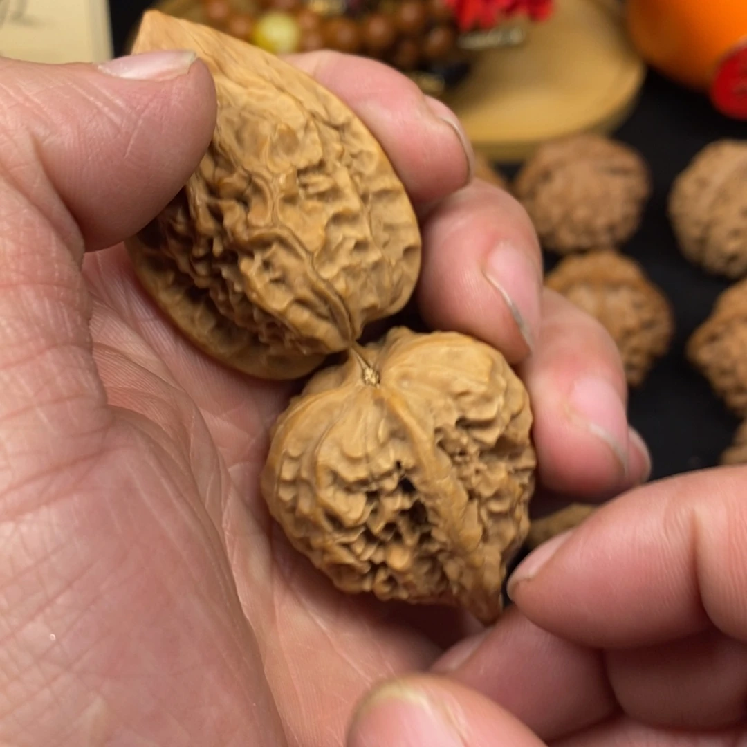 秦岭森林中发现两座