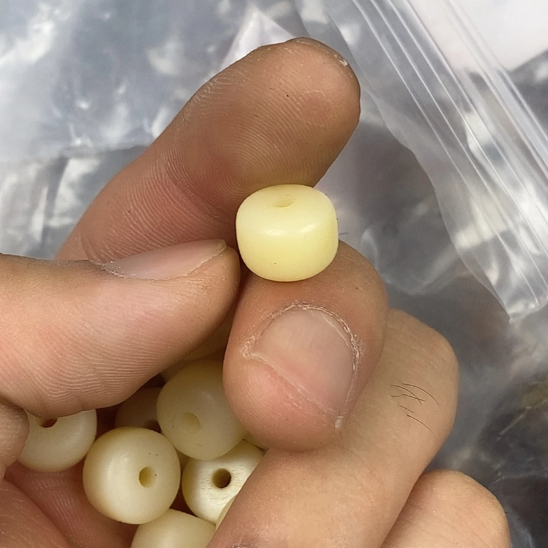 驼骨其他1.2尺寸,23
