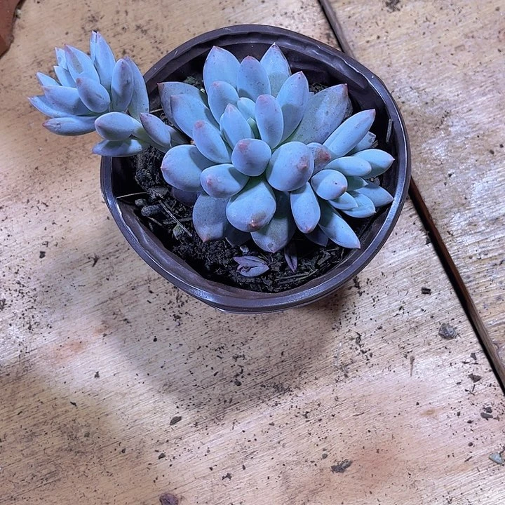 轻****云0000000000000000441