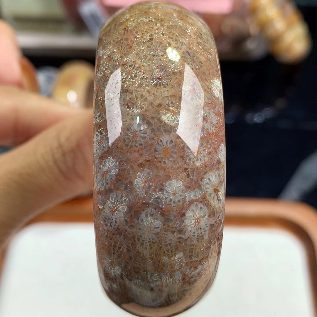 硅化珊瑚（珊瑚玉）未镶嵌吊坠(赠链)31号52圈口