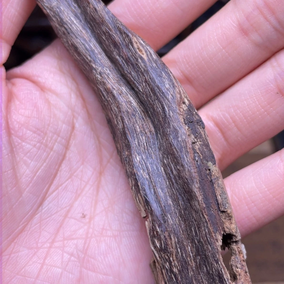 【闪购商品】香榧木海南临高虫漏23克