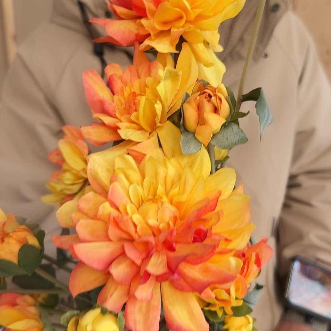 733号橙黄色2把把束