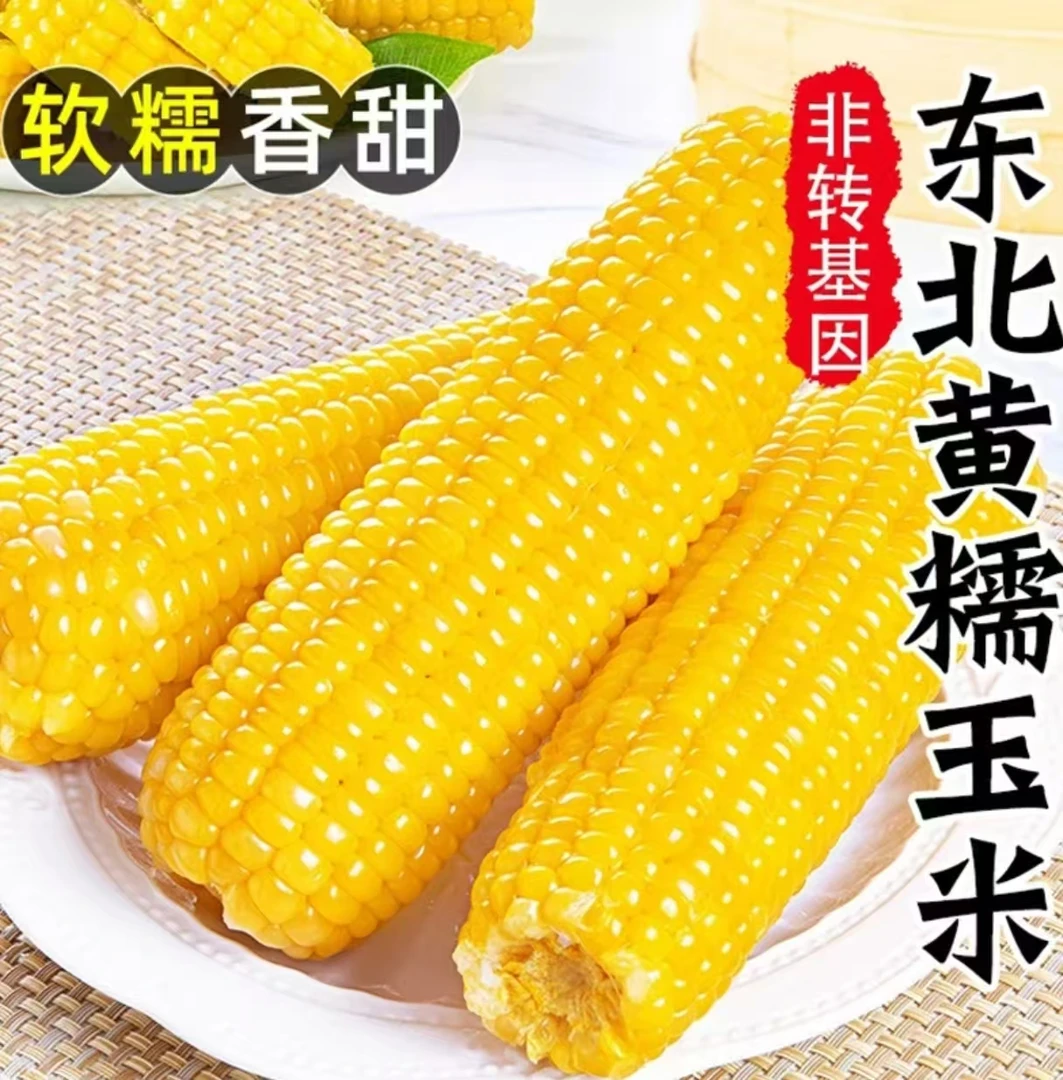 【10根大果6斤】东北黄糯玉米甜糯软香甜～活动倒计时1天（试吃3根）