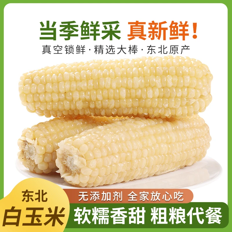 【试吃3根铝箔包装】东北特产糯白玉米香甜糯10支新鲜甜糯大棒5-6斤