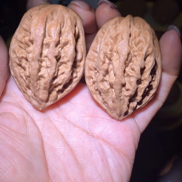 文玩核桃把件东北野生楸子小美63