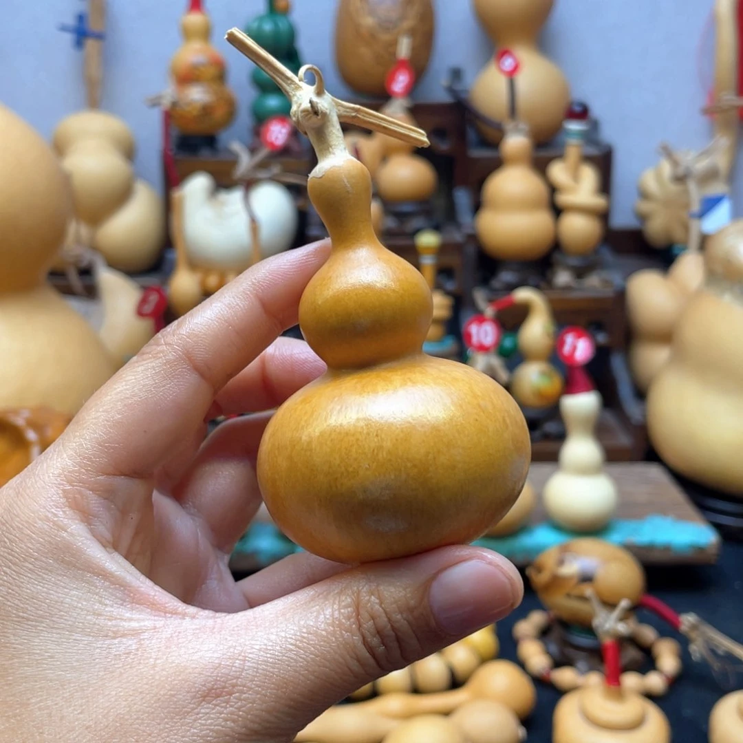 1****调大自然的秘密第十一