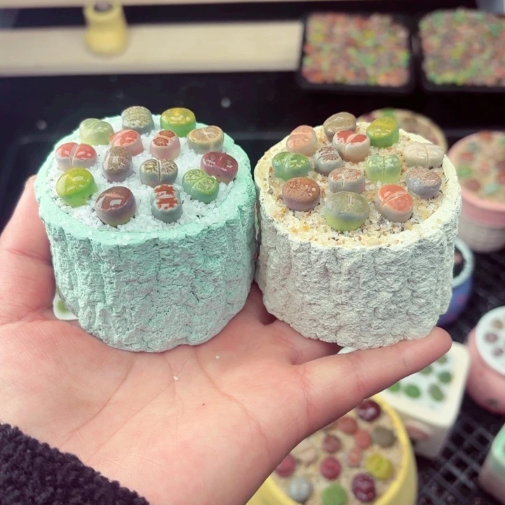 678零下地区记得拍保温箱满18包邮