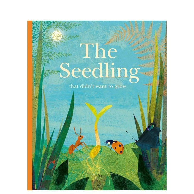 不愿生长的幼苗 The Seedling That Didn’t Want to Grow 英文