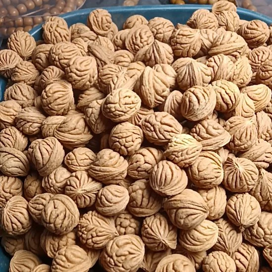 吊坠桃核霸王龙3.8斤50元尺寸大致16左右