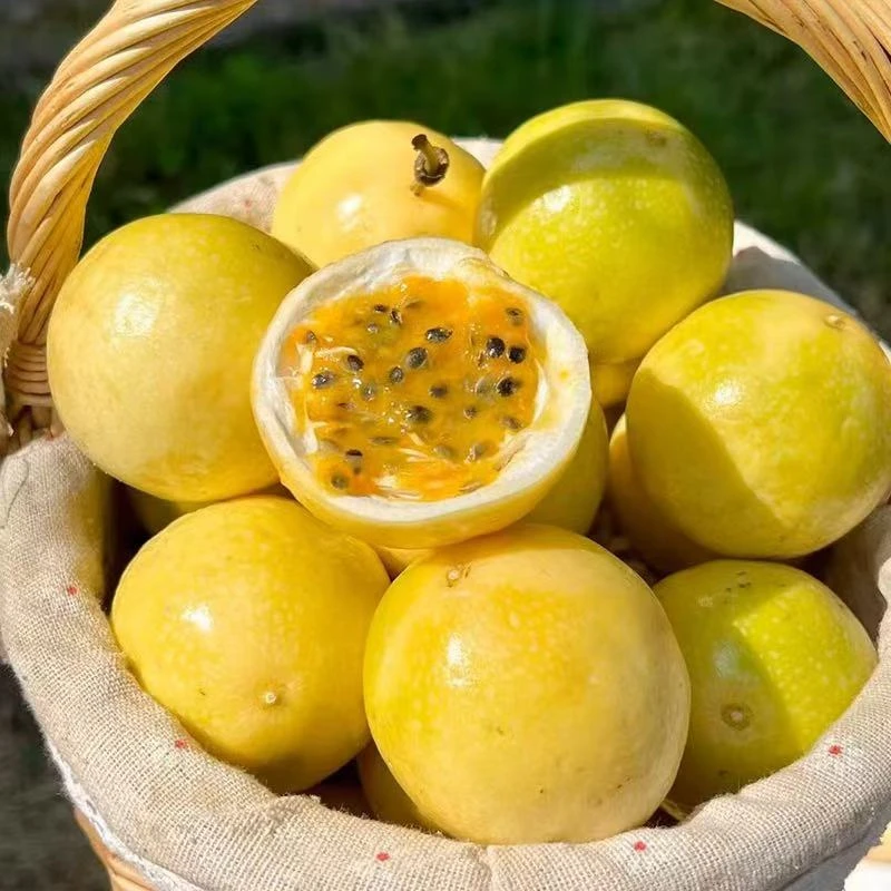 【20个装】正宗广西百香果钦蜜9号35-60g配开果器 坏果包赔yzsg