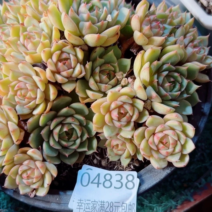 幸运的是我还没遇到