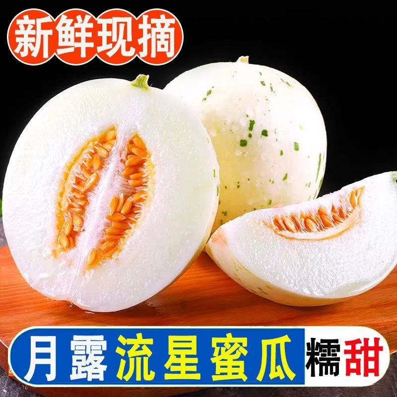 【产地直发】山东流星蜜露甜瓜新鲜现摘冰淇淋口感蜜瓜梦露月露水果