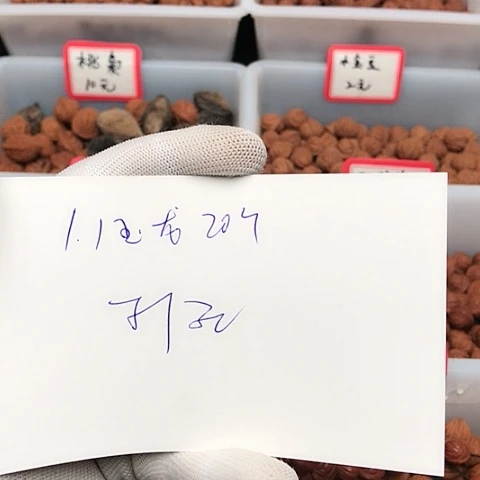 桃核吊坠炮*龙纹桃核的搭配