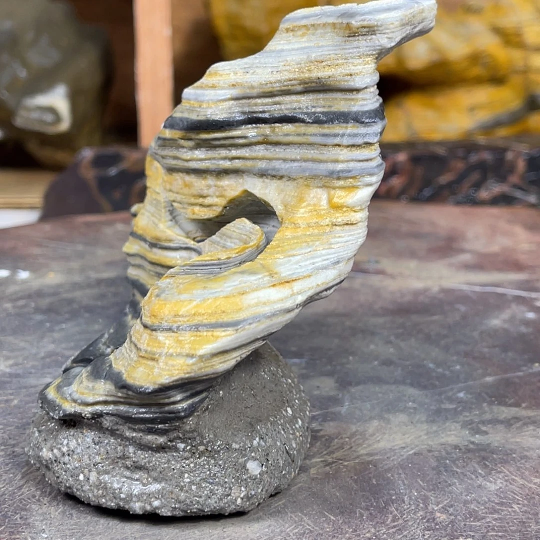 a***.附石盆景一物一拍