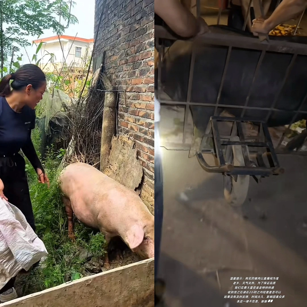 农家现杀新鲜猪肉顺丰冷链包邮到家