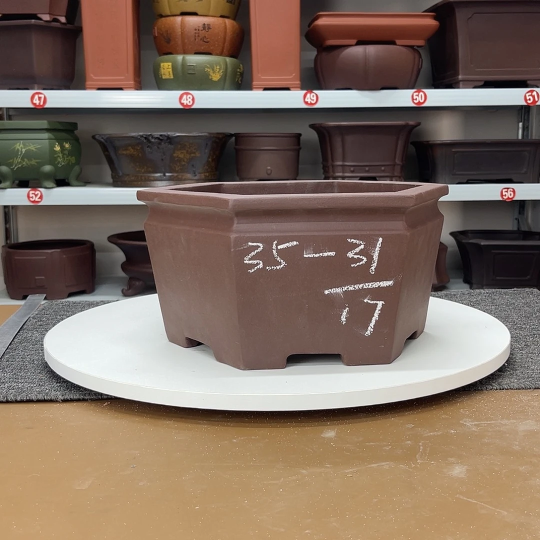 花盆紫砂在上世纪