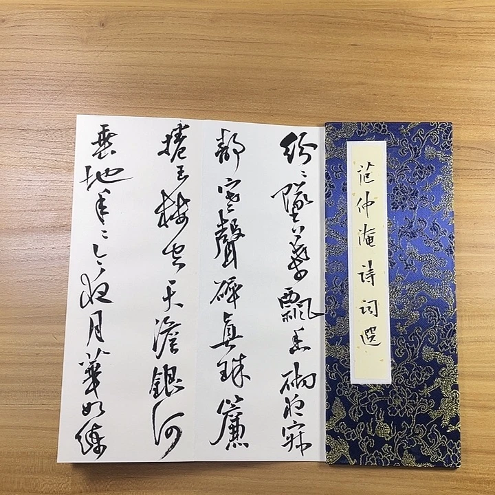 书法中书协会员作品