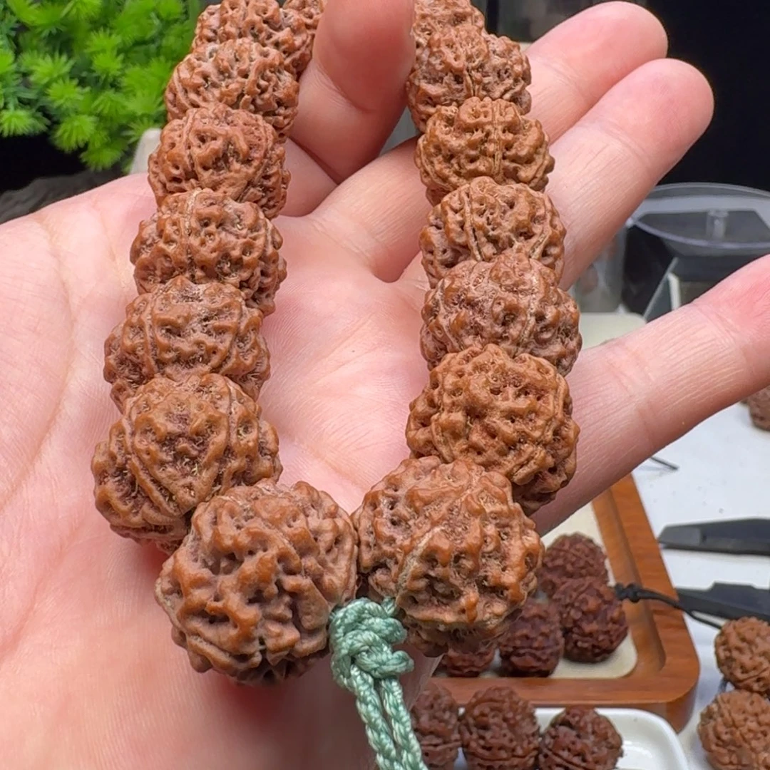 山***林金刚菩提手串五星蜂王