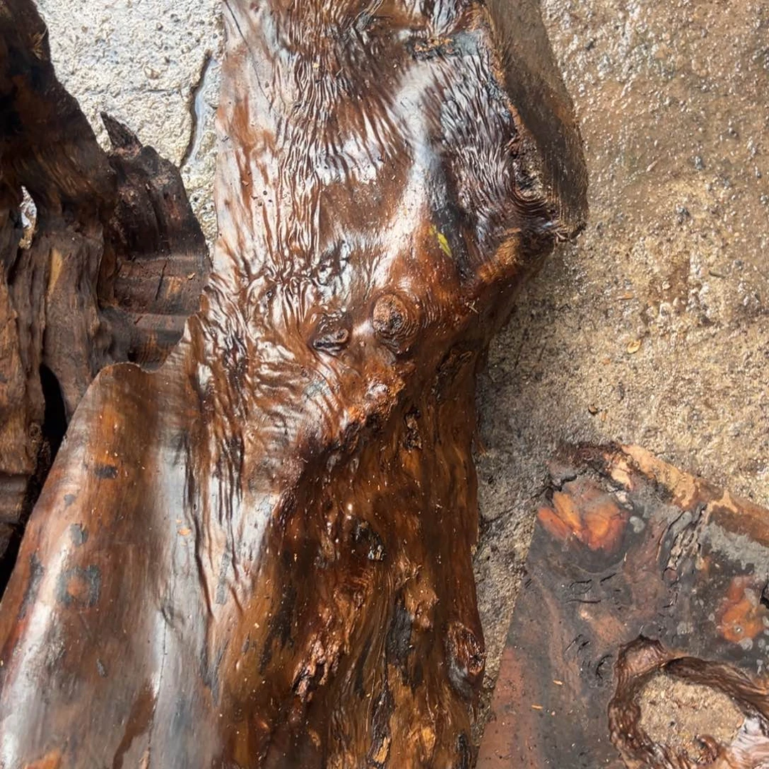 金丝楠壹*11111111111111