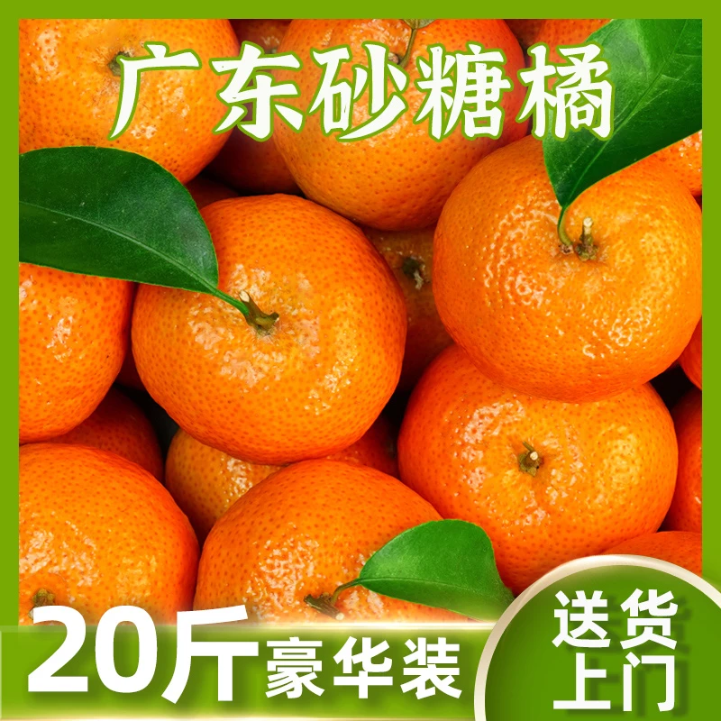 【明天送货上门】正宗增城砂糖橘20斤新鲜砂糖橘当季水果无籽无渣广东省