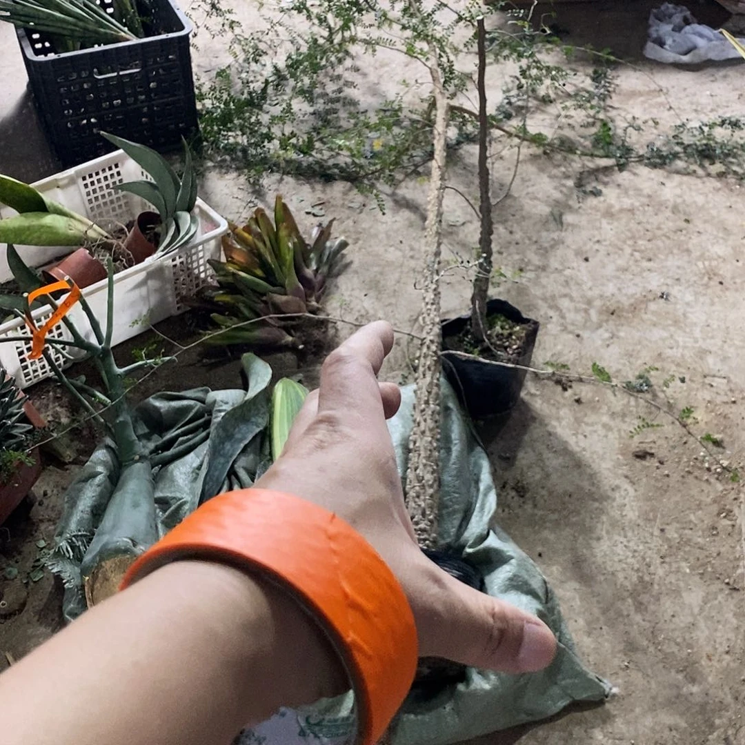 9***70000000000000000000900