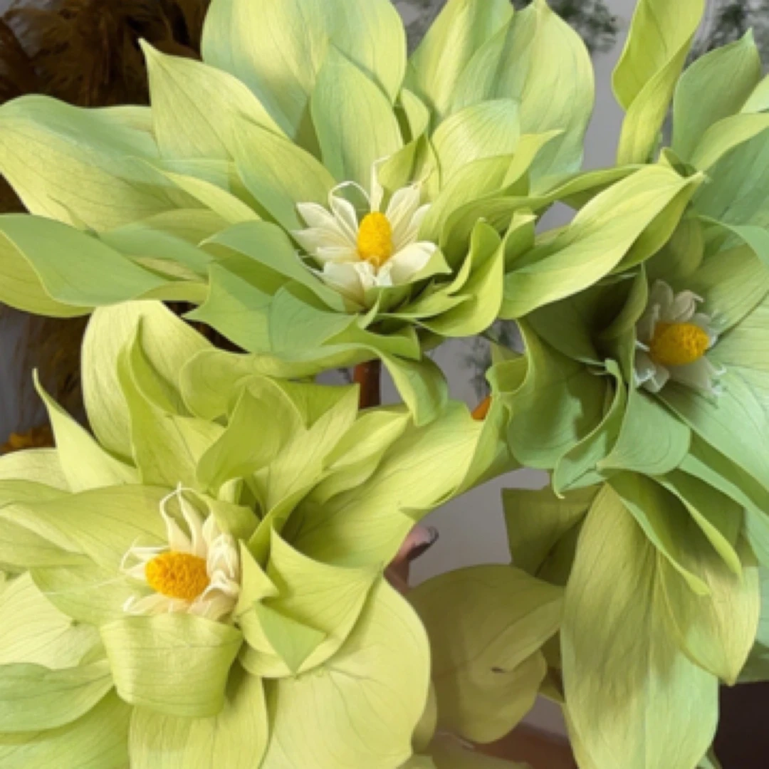 【雅景原创 】桔叶 仙女花 纯植物手工制作