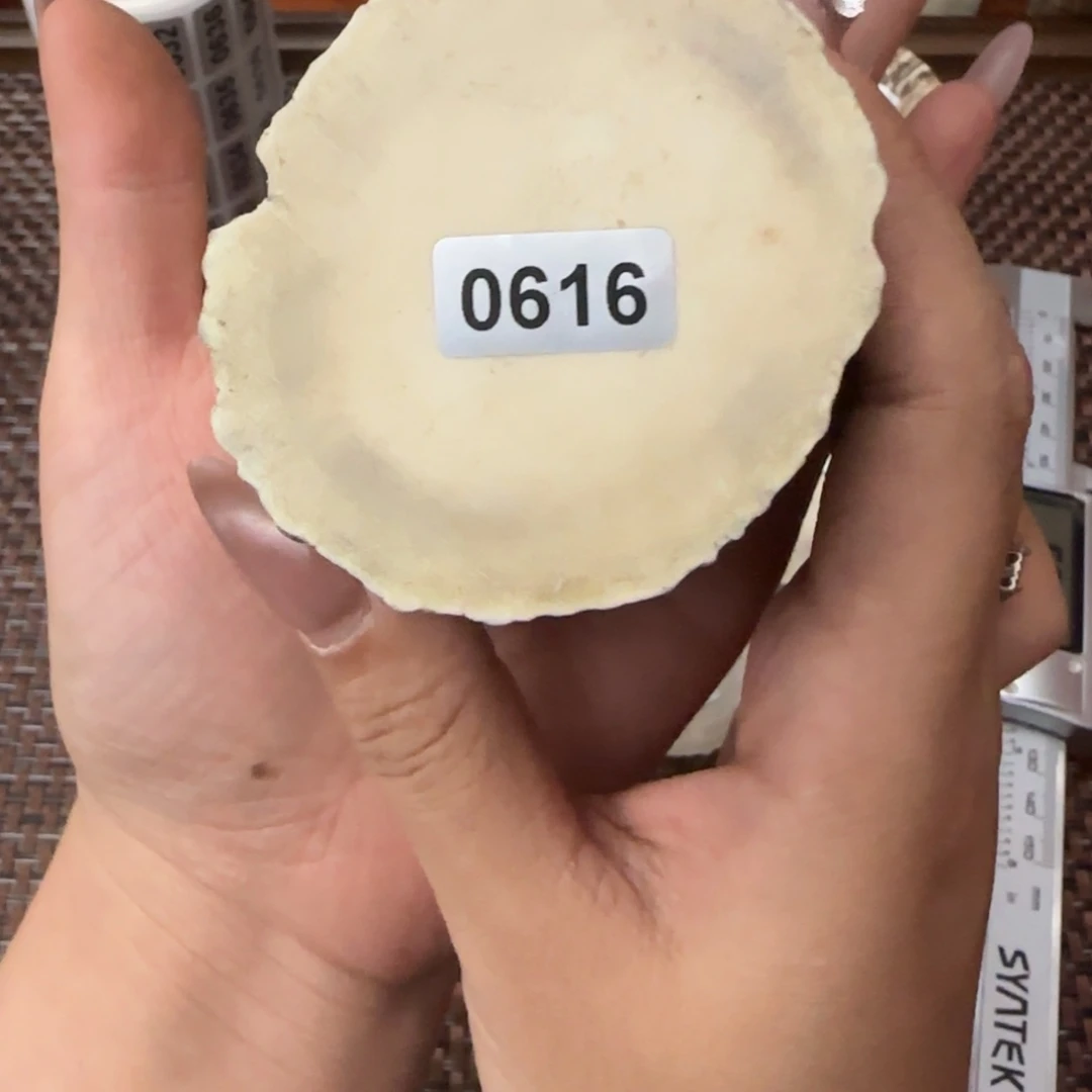 鹿骨其他0616段0000