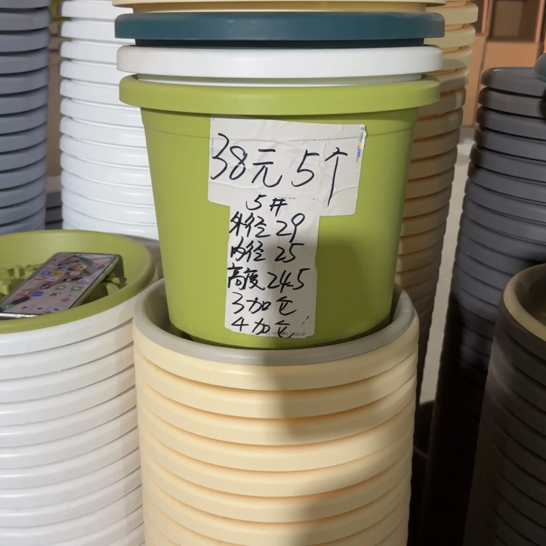 四季5#口径29无拖果绿5个