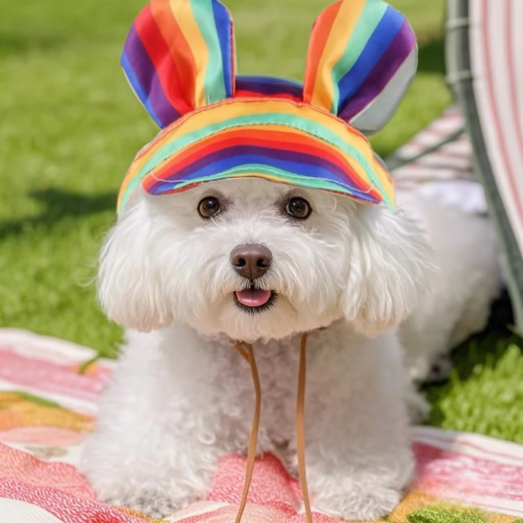 夏季猫咪遮阳帽狗狗外出防晒太阳帽露耳朵小型犬小猫头套宠物帽子