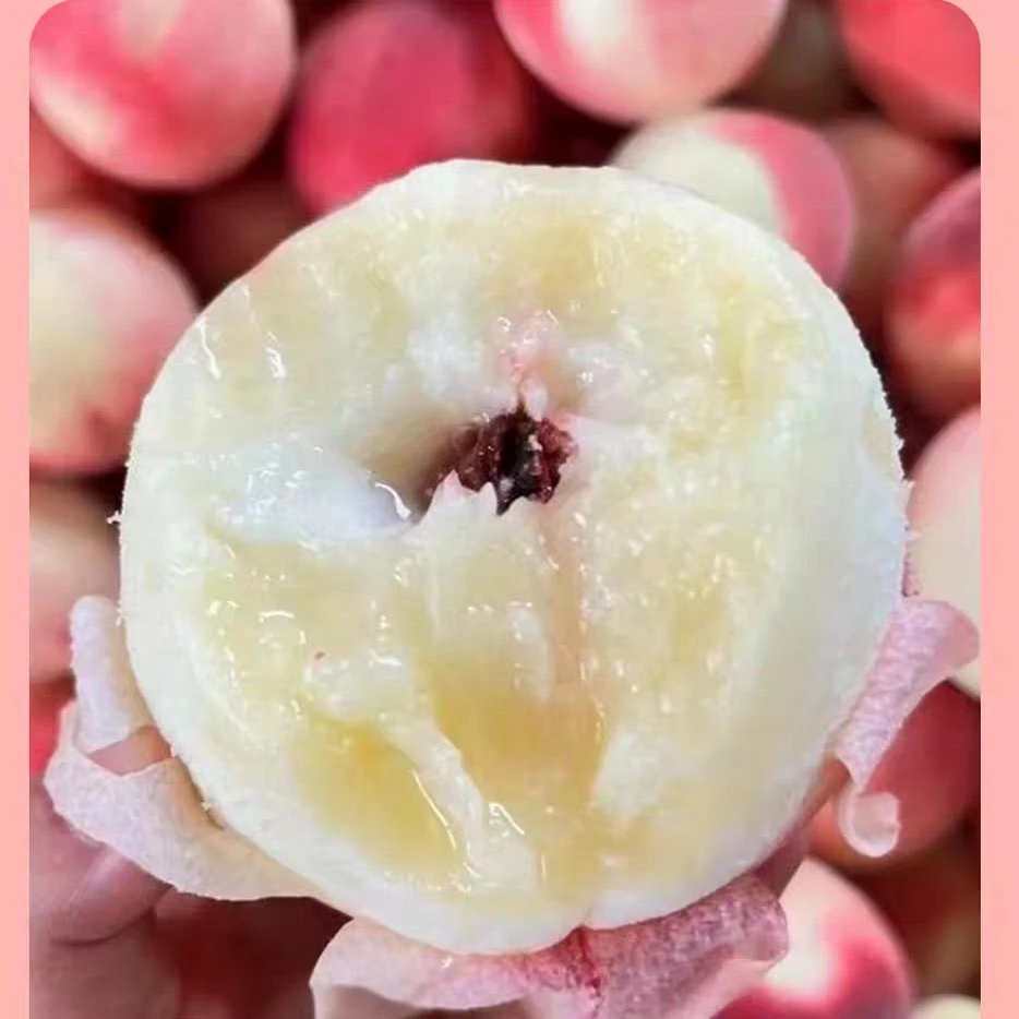 甘肃秦安水蜜桃鲜甜多汁脆软两吃应季新鲜现摘水果5斤