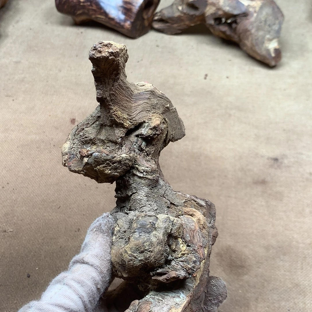 盛***蛋黄花梨/降香黄檀原材料品香料