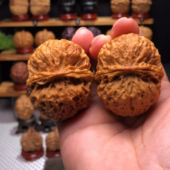【闪购商品】大****?臻龙绣球1