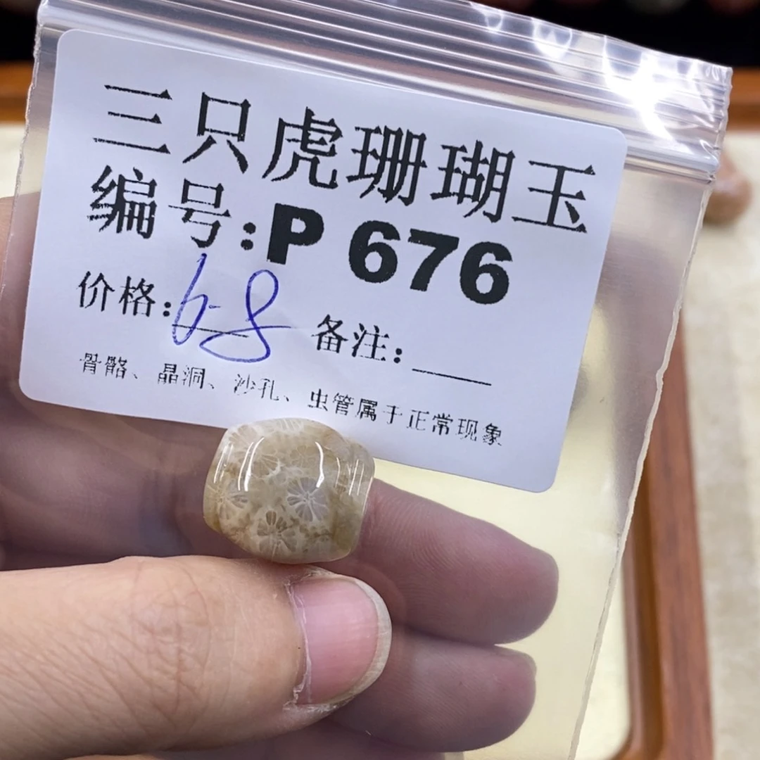 硅化珊瑚（珊瑚玉）1未镶嵌丹*