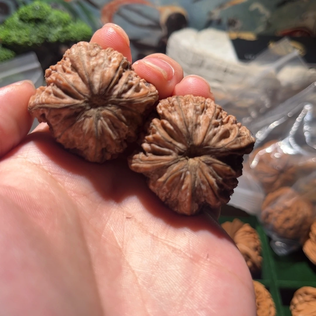 扬***.木质38磨盘正磨红皮