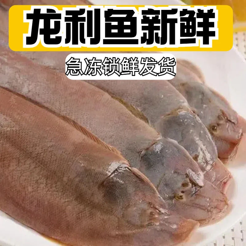 天津本地海捕野生鳎目鱼