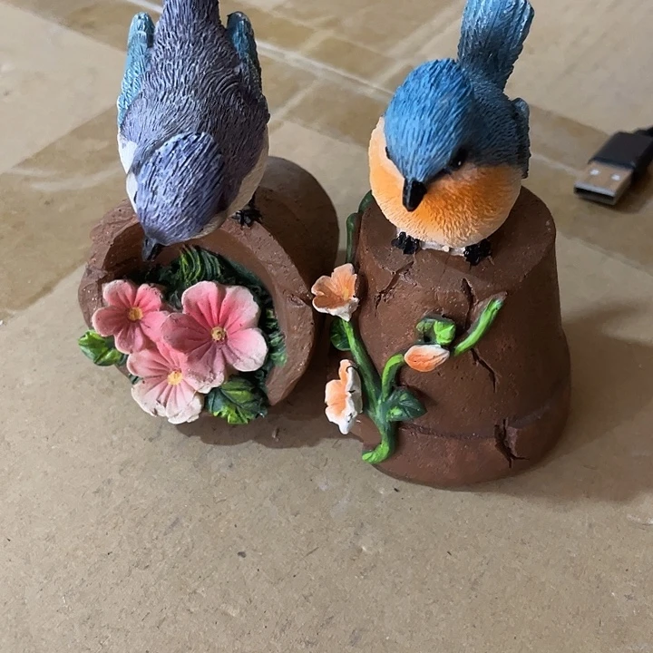样品样品样品花盆鸟一对
