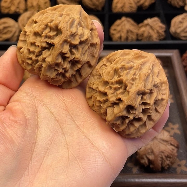 吊坠文玩核桃秦岭等地区均已发生