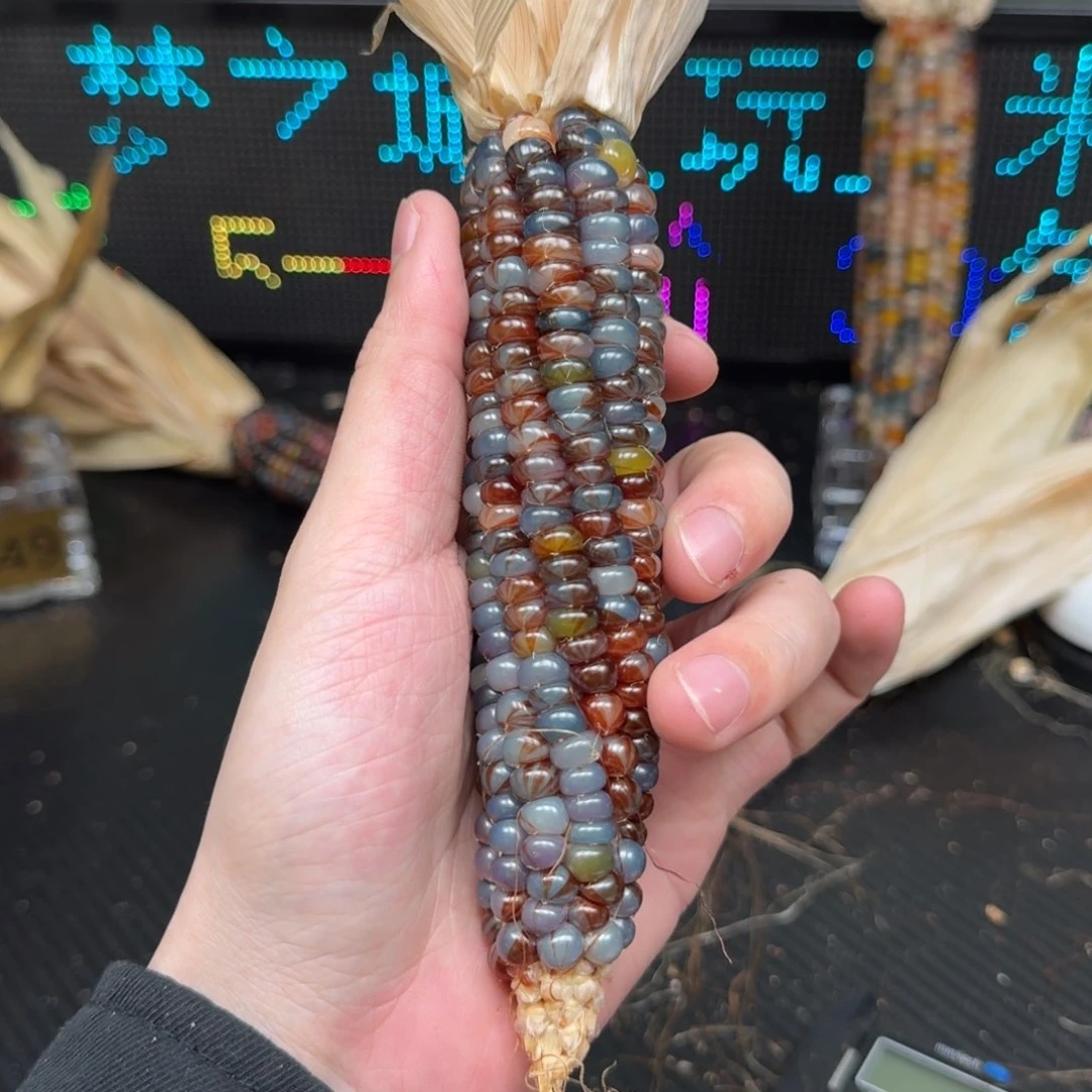 柏香籽/百香籽吊坠@*风