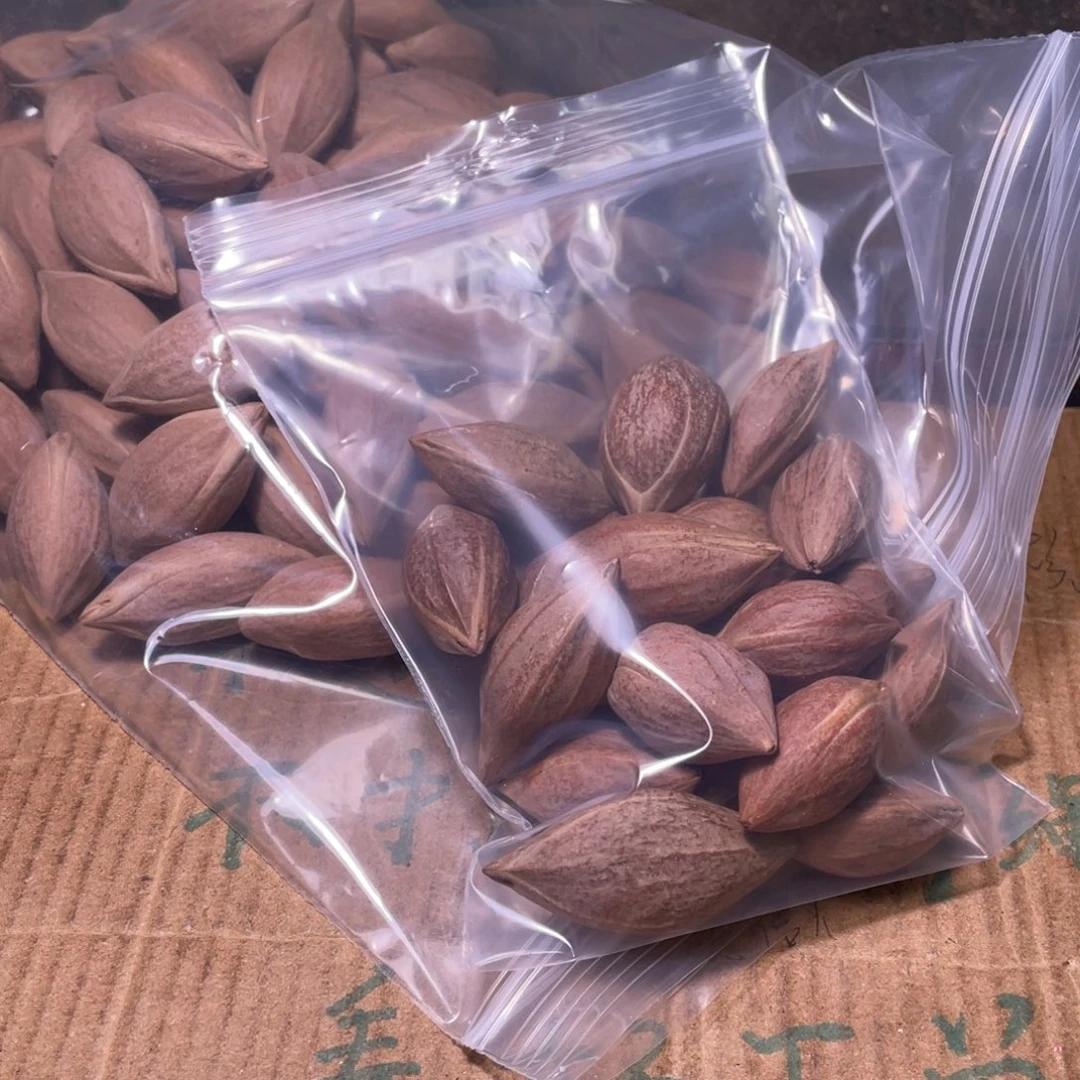 百***钱橄榄核吊坠不退不换