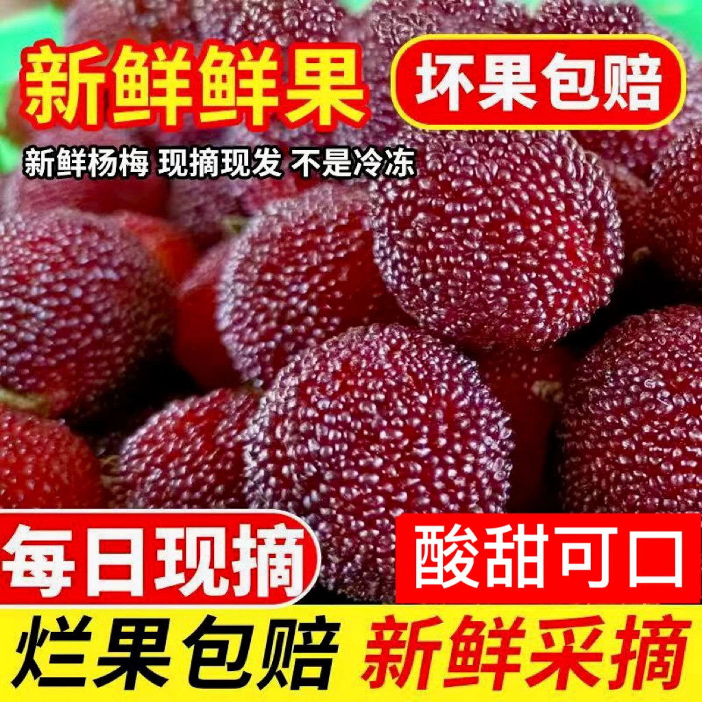 【顺丰空运】云南新鲜杨梅现摘现发当季水果新鲜饱满
