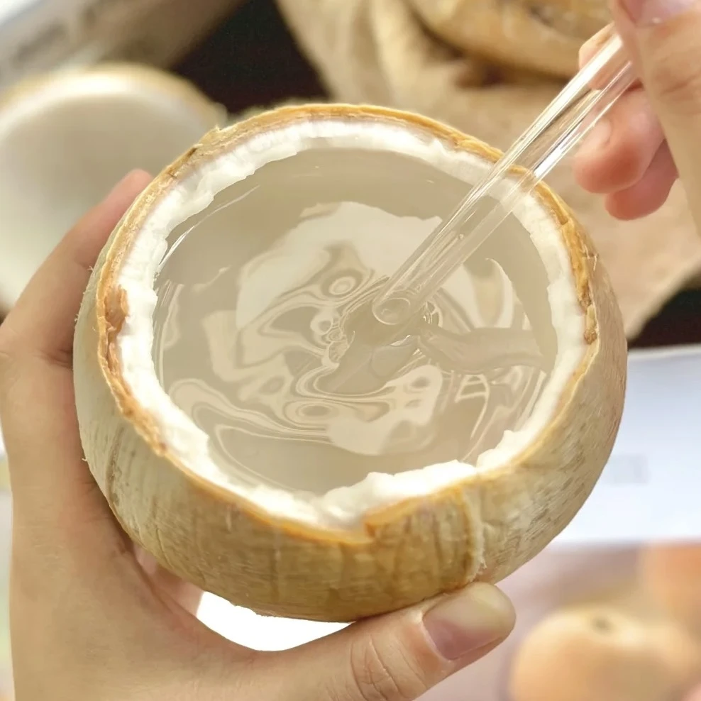 【泰国椰皇】丹嫩沙多牛奶椰皇进口新鲜水果椰青子饮料天然电解质水