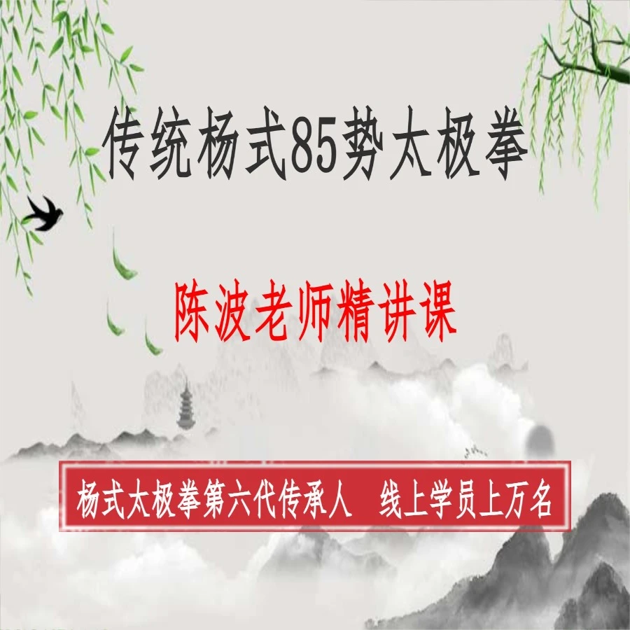 陈波老师—线上传统杨式85势太极拳精讲课