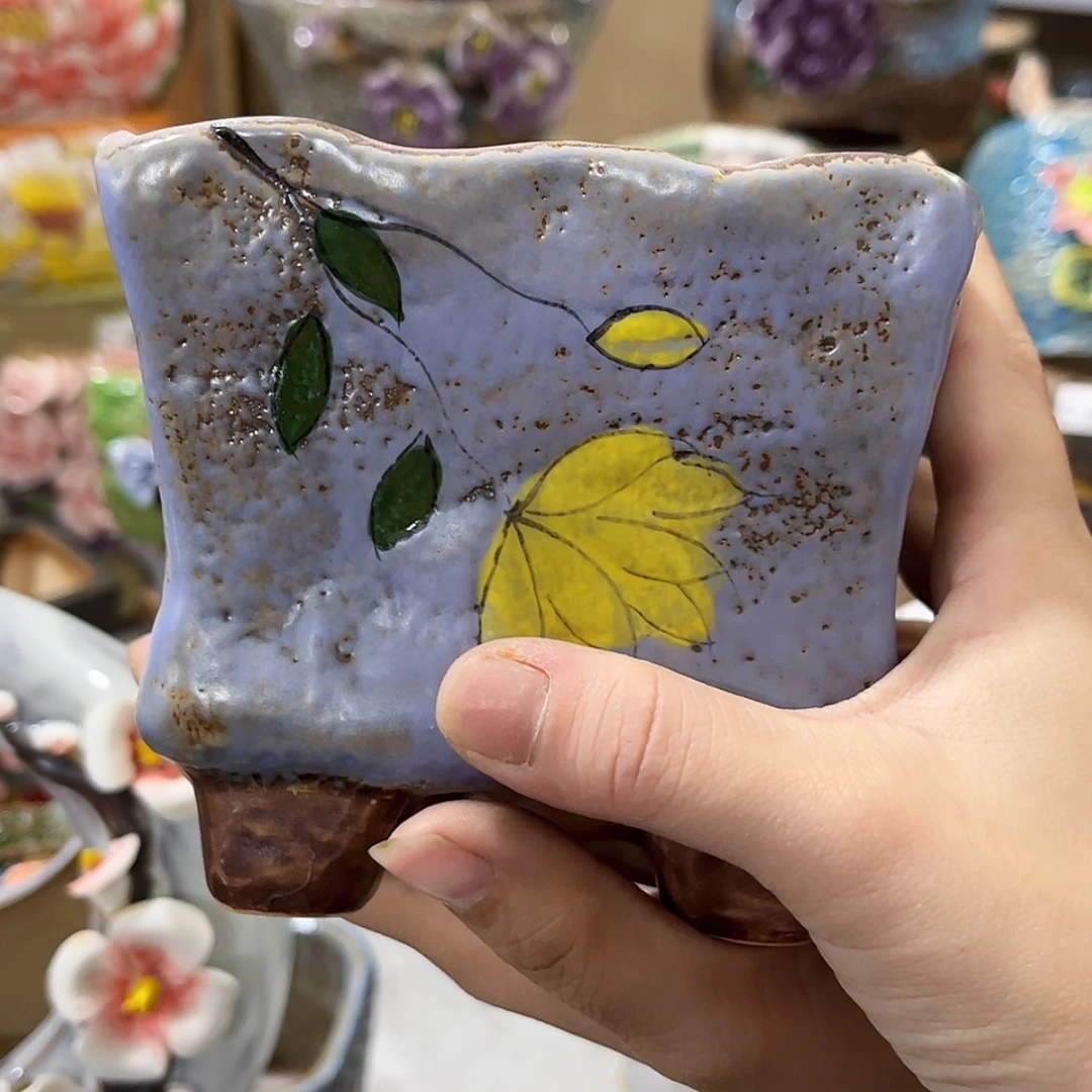 【闪购商品】红陶福利